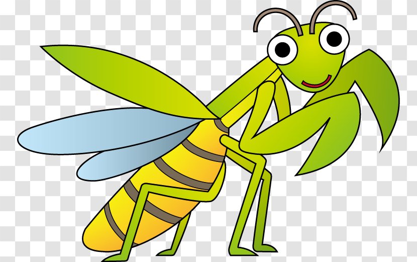 Insect Line Art Cartoon Clip - Pollinator Transparent PNG