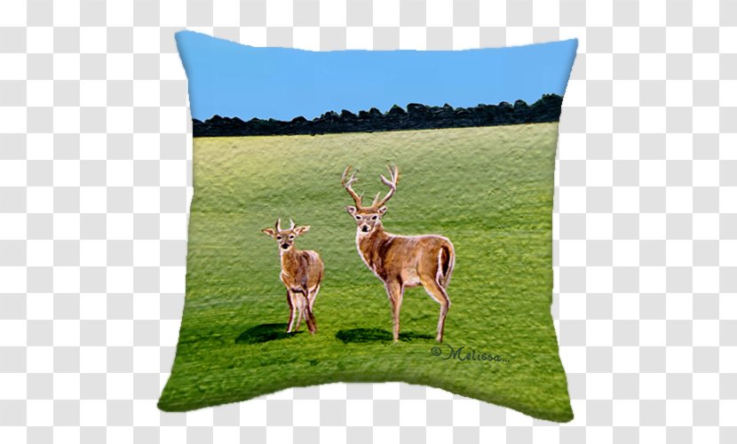Throw Pillows White-tailed Deer Bear - Pillow Transparent PNG
