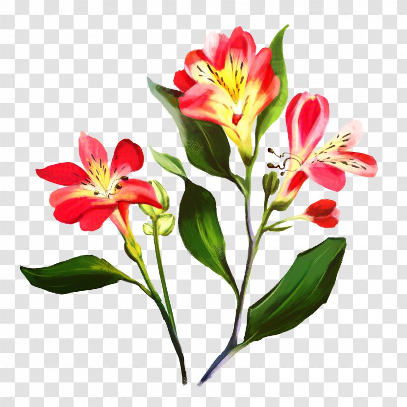 Lily Flower Cartoon - Fire Artificial Transparent PNG