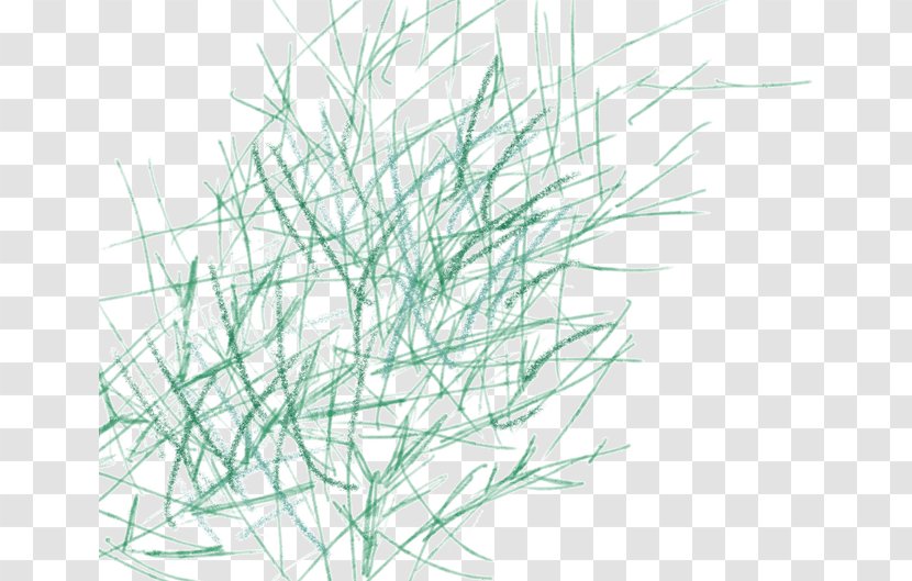 Leaf - Rendering - Messy Grass Transparent PNG