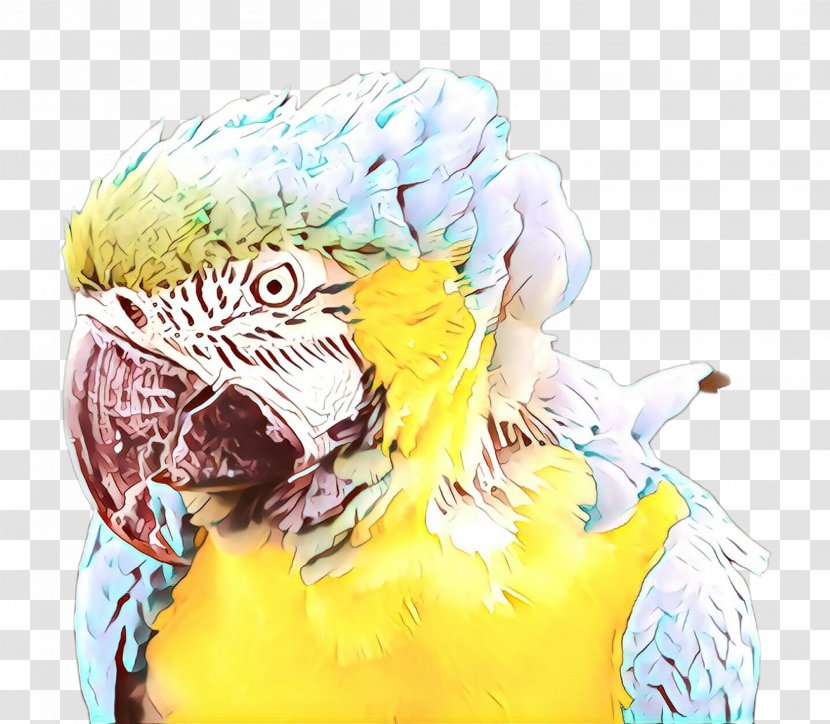 Macaw Parakeet Beak Pet - Cockatiel - Feather Transparent PNG