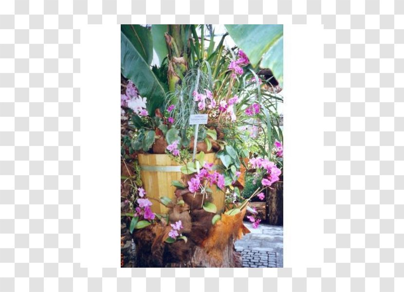 Floral Design Fauna Flowering Plant Transparent PNG
