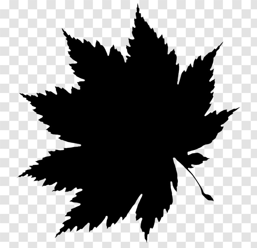 Clip Art Leaf Image Autumn - Maple - Logo Transparent PNG