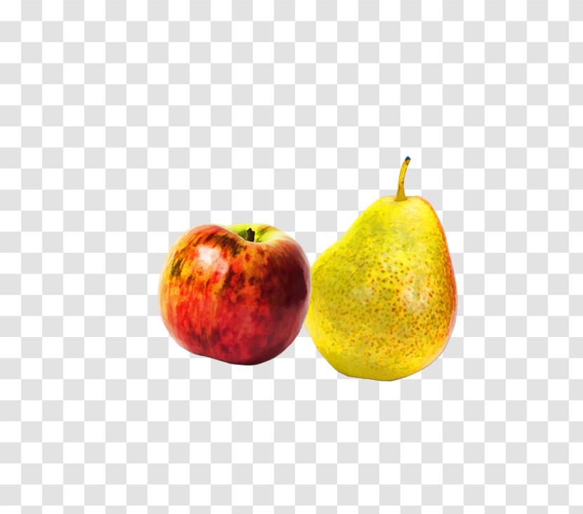 Apple Asian Pear Clip Art - Photography Transparent PNG