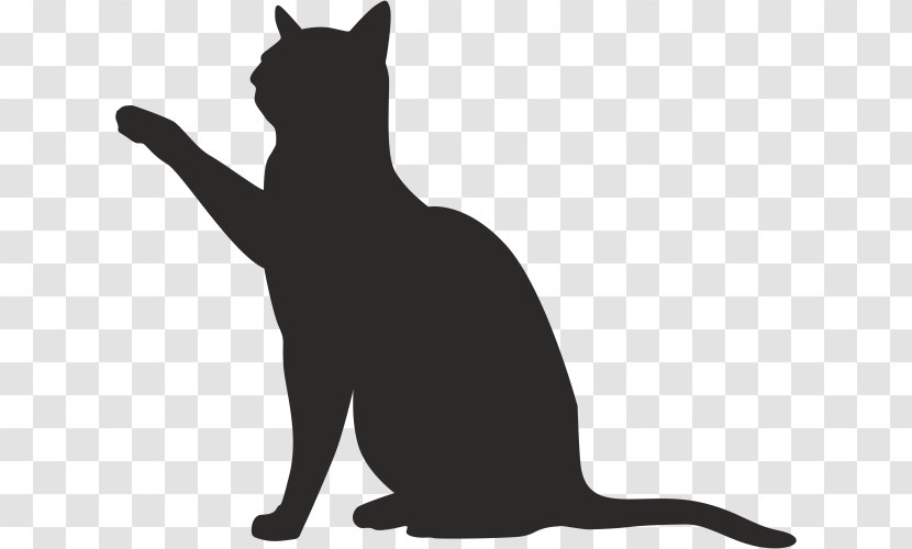 Cat Drawing Image Silhouette Transparent PNG