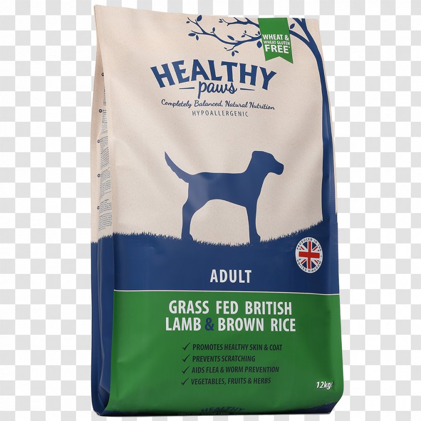 Golden Retriever Healthy Paws Pet Insurance & Foundation Lamb And Mutton Cat Food Brown Rice - Fodder Transparent PNG