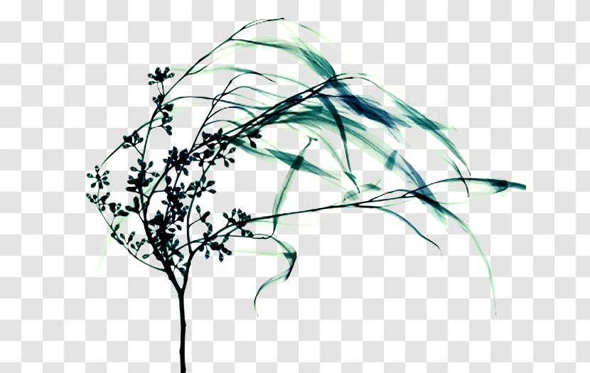 Line Art Drawing Leaf Tree - Flower - Plant Transparent PNG