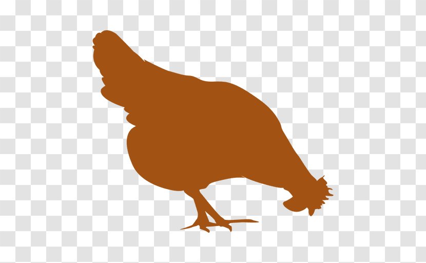 Brahma Chicken Rhode Island Red Sussex Broiler Leghorn - Poultry - Livestock Transparent PNG