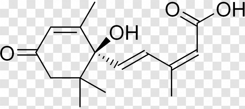 Abscisic Acid Plant Hormone Structure Gibberellic Zeatin - Tree Transparent PNG