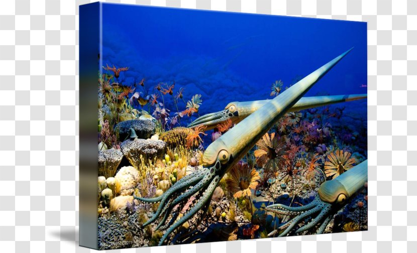 Prehistory Coral Reef Sea Prehistoric Art Marine Biology Transparent PNG