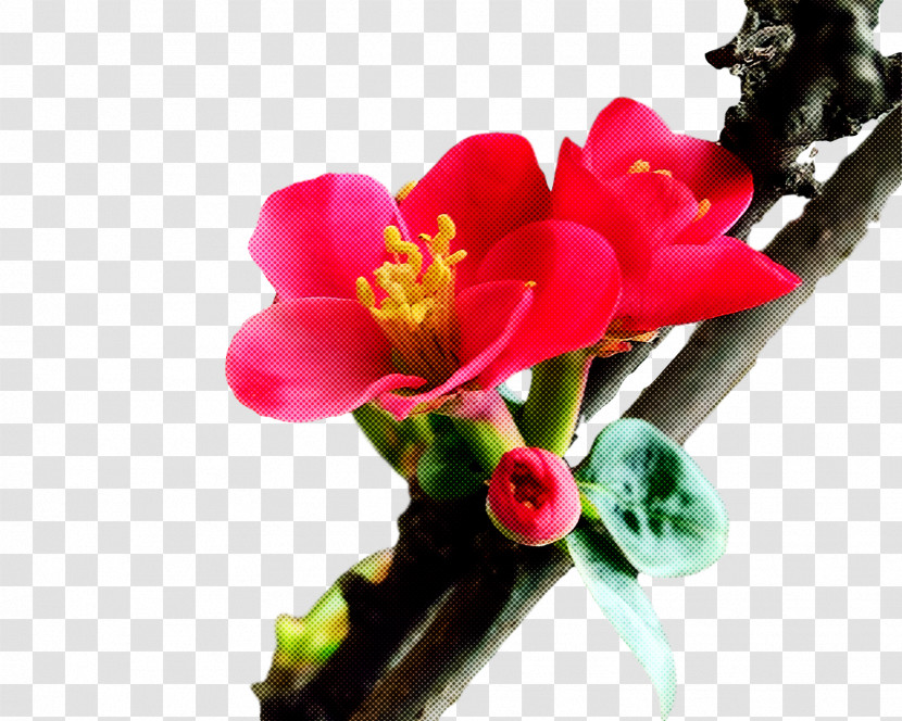 Artificial Flower Transparent PNG