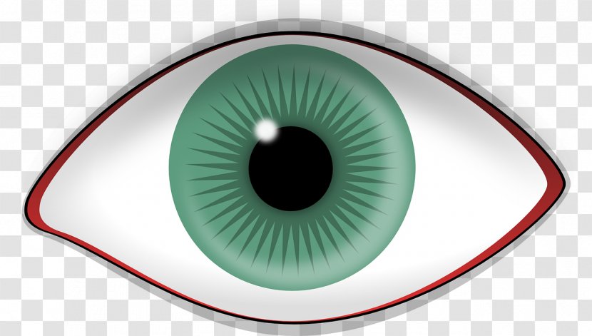 Iris Human Eye Retina Visual Perception - Watercolor Transparent PNG