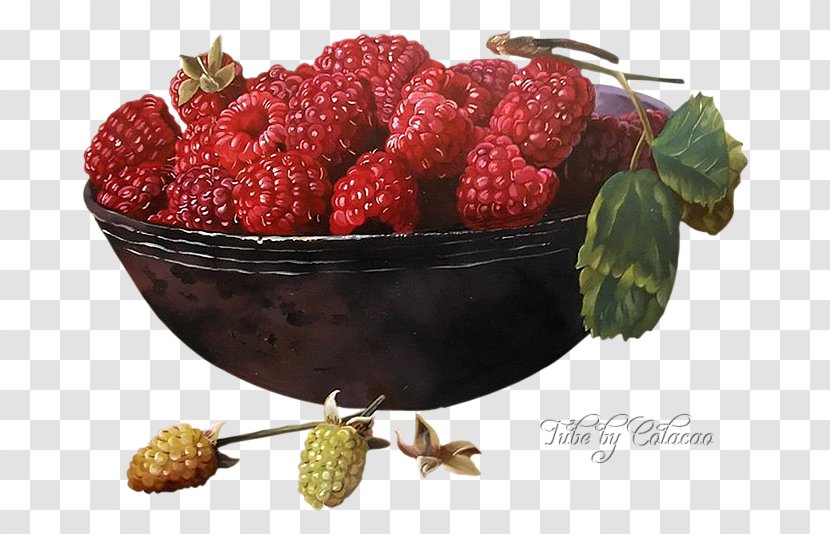 Watercolor Painting Art Still Life Fruit - Raspberry Transparent PNG