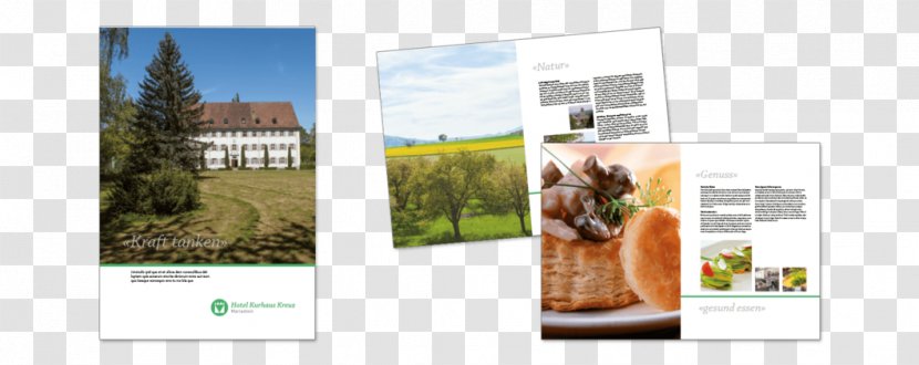 Photographic Paper Marketing Full-Service-Agentur Text - Grass - Corporate Company Brochure Transparent PNG