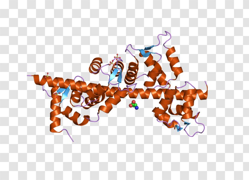 CALM3 CALM2 MYO5A Protein Calmodulin 1 - Heart - Silhouette Transparent PNG