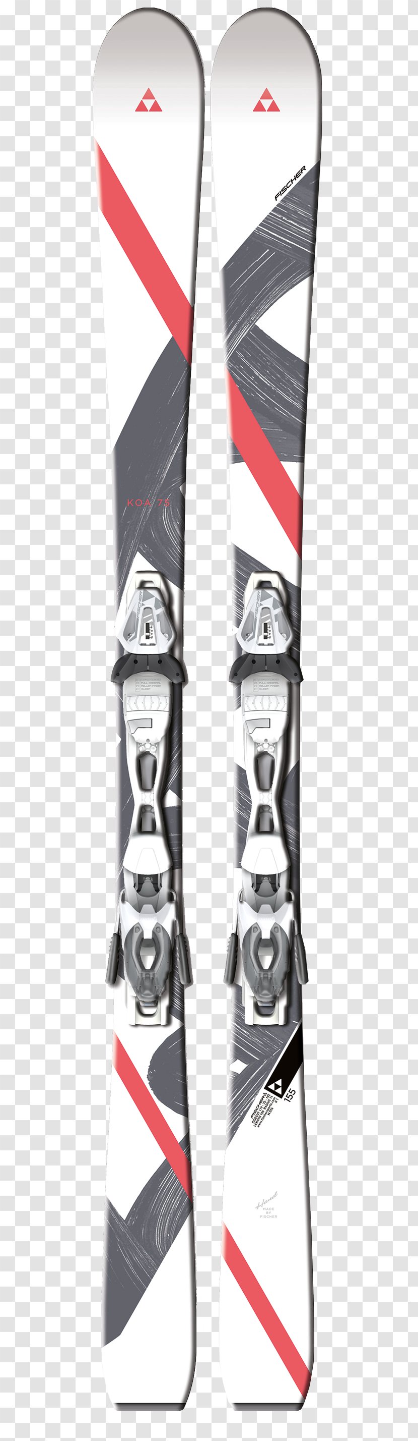 Fischer RC4 Worldcup SC (2017/2018) Ski The Curv DTX Gafas De Esquí - Rc4 Sc 20172018 - Binding Transparent PNG