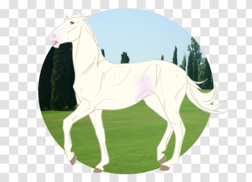 Pony Mustang Foal Stallion Mare - Fictional Character Transparent PNG