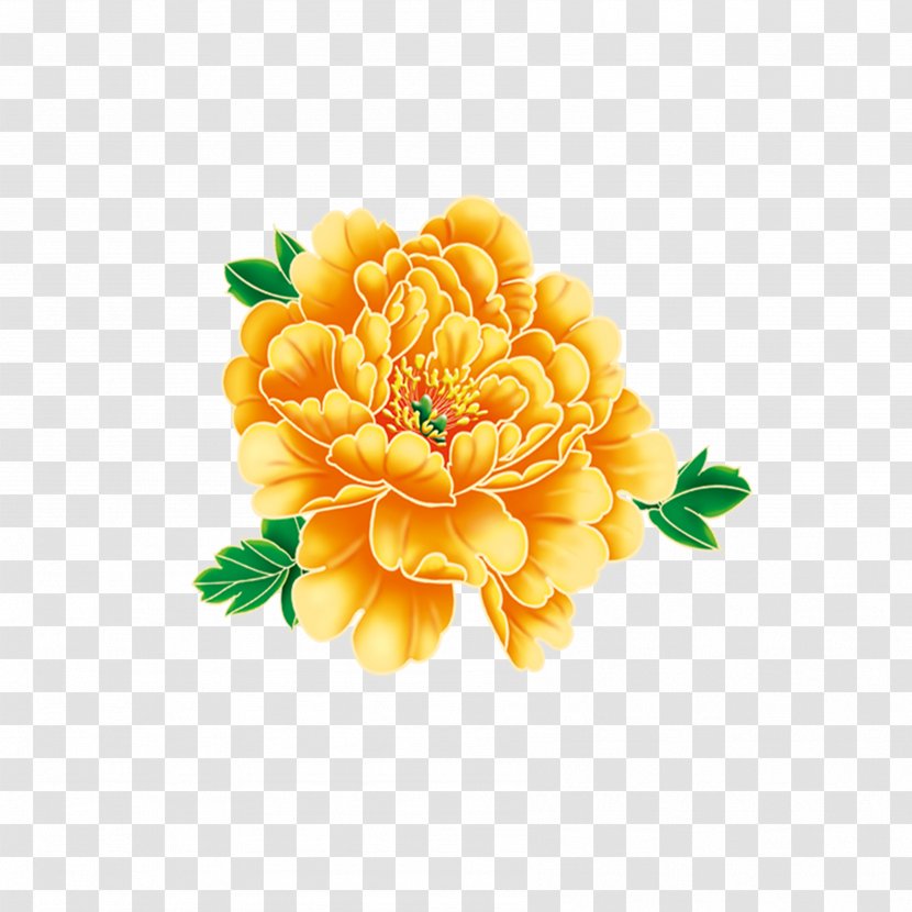 Flower - Arranging - Peony Transparent PNG