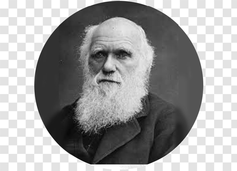 Charles Darwin The Voyage Of Beagle On Origin Species Darwinism