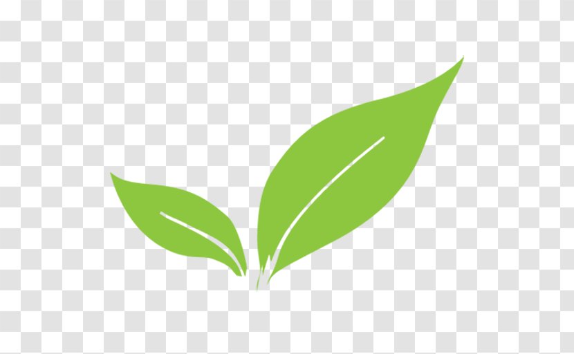 Leaf Plant Stem Europe 0 - Green - Logo Transparent PNG