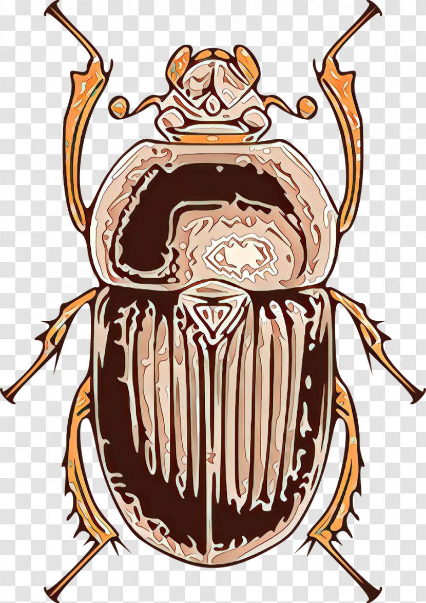 Insect Cartoon Beetle Stag Beetles Cockroach Transparent PNG