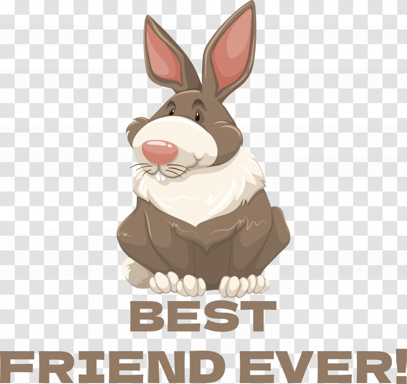 Tiger Rabbit Rabbit Rabbit Rabbit Turtles Vector Transparent PNG