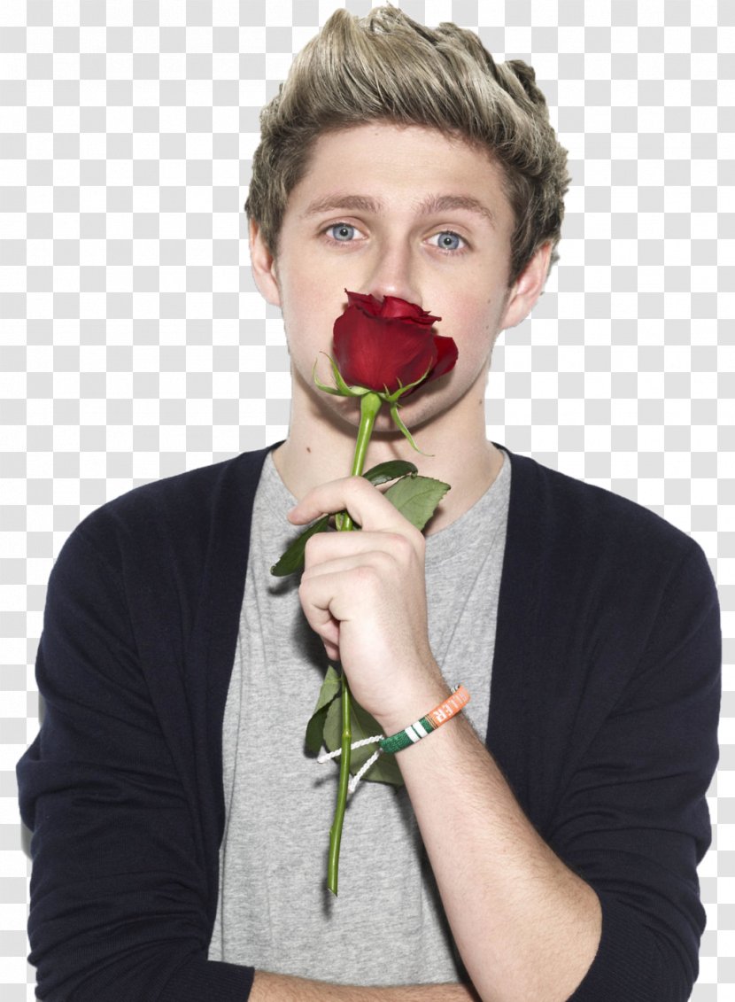 Niall Horan One Direction Photography - Flower Transparent PNG