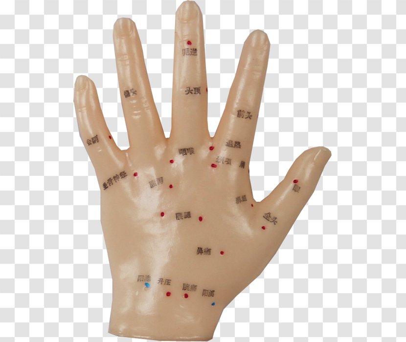 Thumb Hand Model Glove Transparent PNG