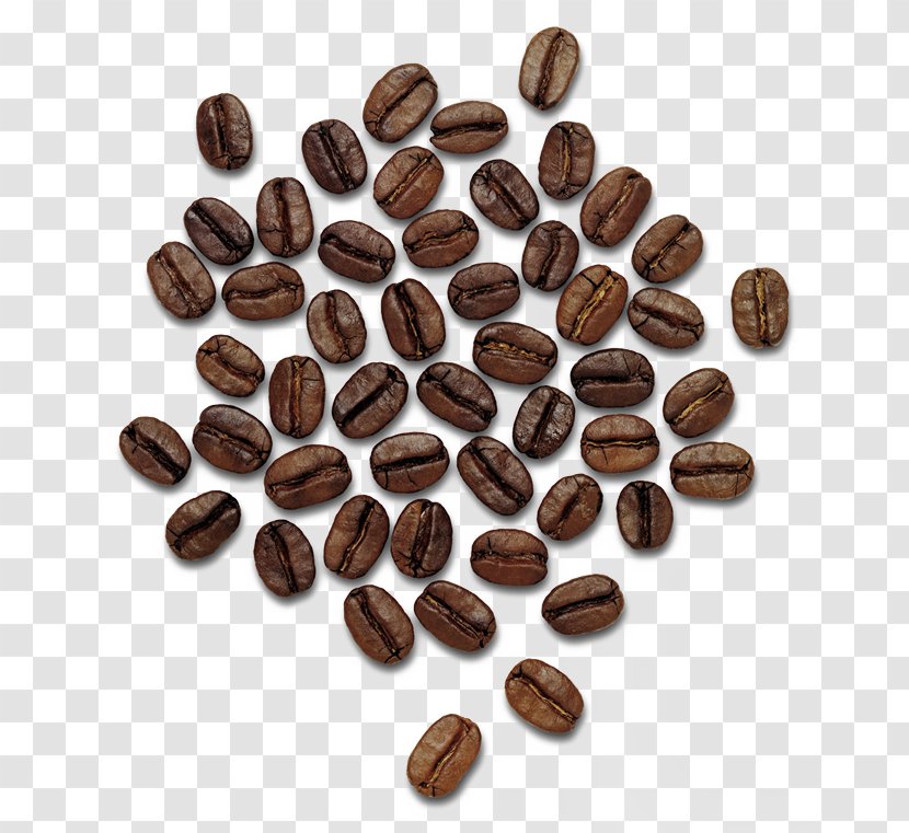 Coffee Thailand Praline Hazelnut Cocoa Bean - Nuts Seeds - Beans Image Transparent PNG
