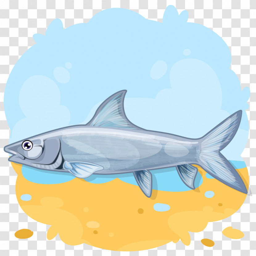 Shark Transparent PNG