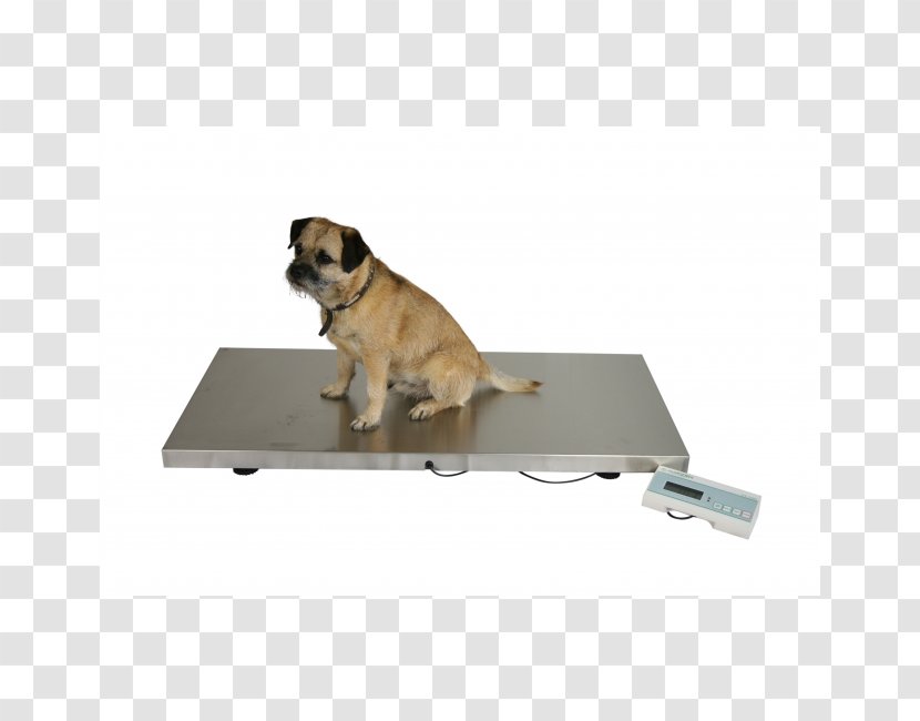 Pug Dog Breed Measuring Scales Veterinary Medicine Veterinarian - Steel - Veterinar Transparent PNG