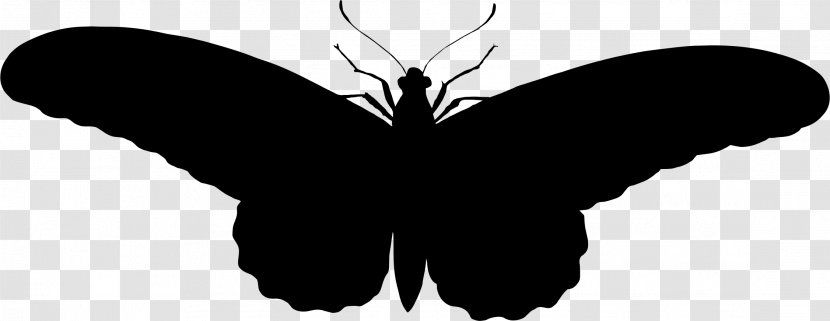 Butterfly Silhouette Clip Art - Symmetry - Black Wings Transparent PNG