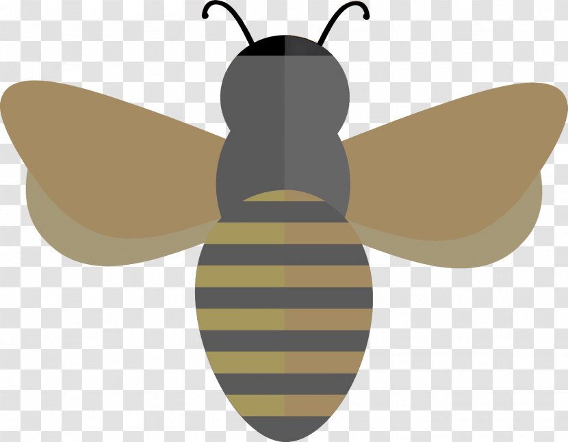 Butterfly - Hoverfly Carpenter Bee Transparent PNG
