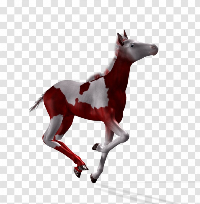 Mustang Foal Stallion Colt Pony - Horse Like Mammal - Fantasy Night Background Transparent PNG