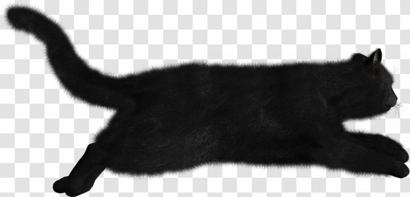 Black Cat Clip Art Transparent PNG