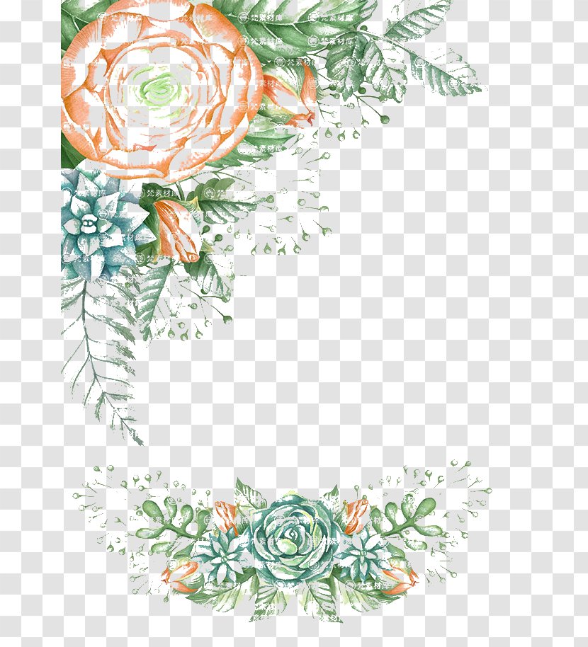 Floral Design Textile Area Pattern - Floristry - Peony Transparent PNG