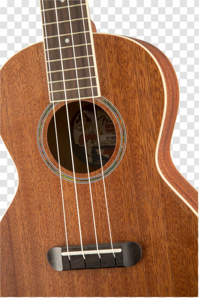 Bass Guitar Ukulele Acoustic Tiple Cuatro - Frame Transparent PNG