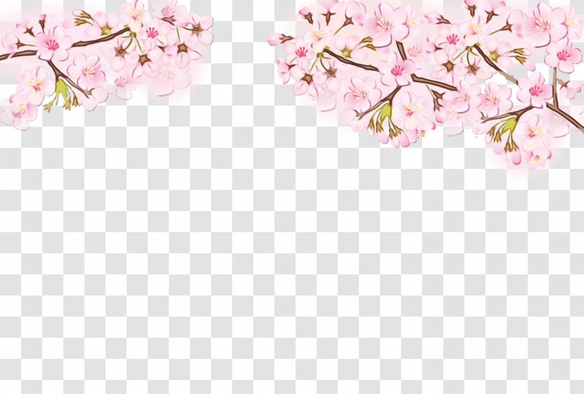 Floral Spring Flowers - Stau150 Minvuncnr Ad - Cut Transparent PNG