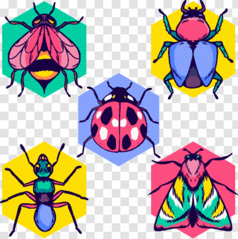 Symmetry Insect - Organism - Jewel Bugs Beetles Transparent PNG