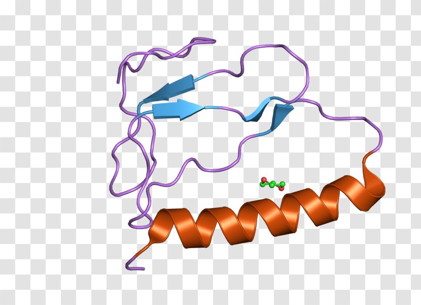 IGFBP1 Insulin-like Growth Factor-binding Protein Factor Binding 1 - Purple Transparent PNG
