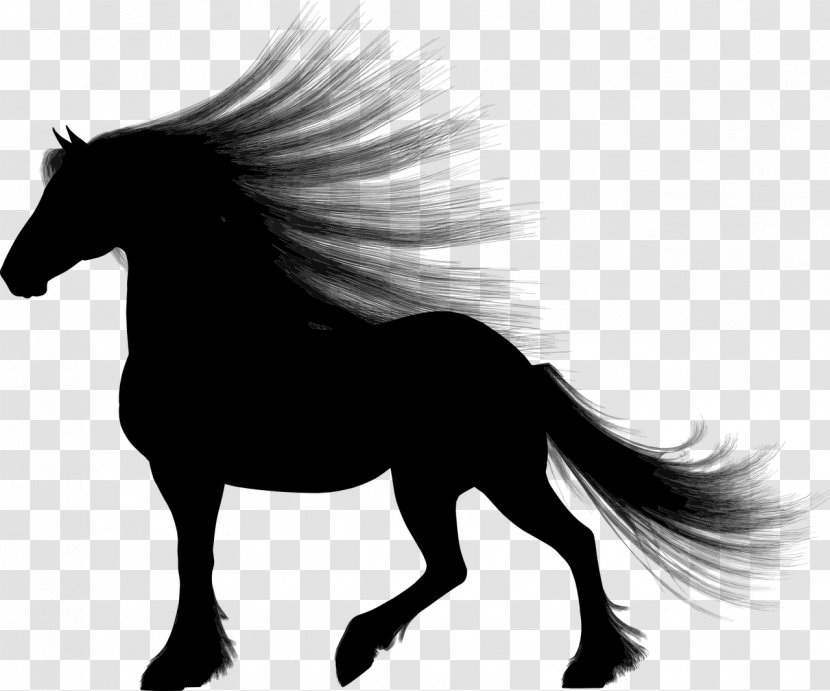 Gypsy Horse Equestrian Clip Art - Silhouette Transparent PNG