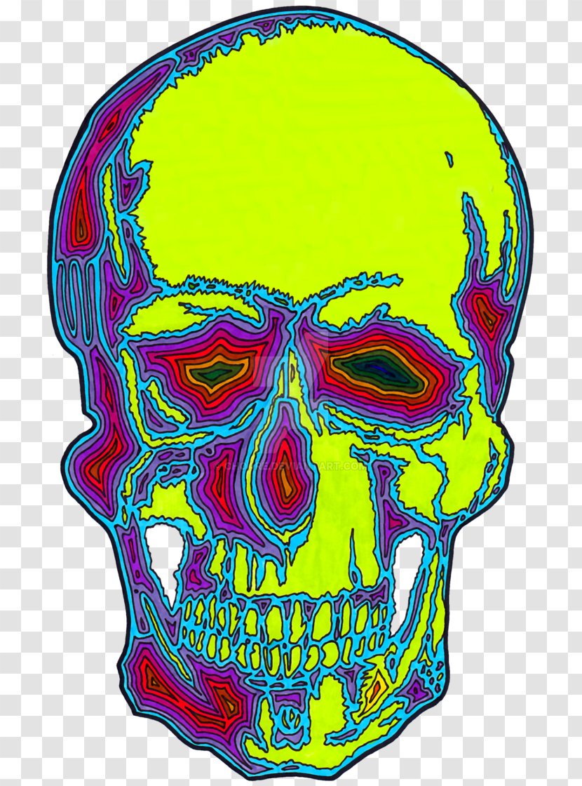 Skull Headgear Jaw Transparent PNG