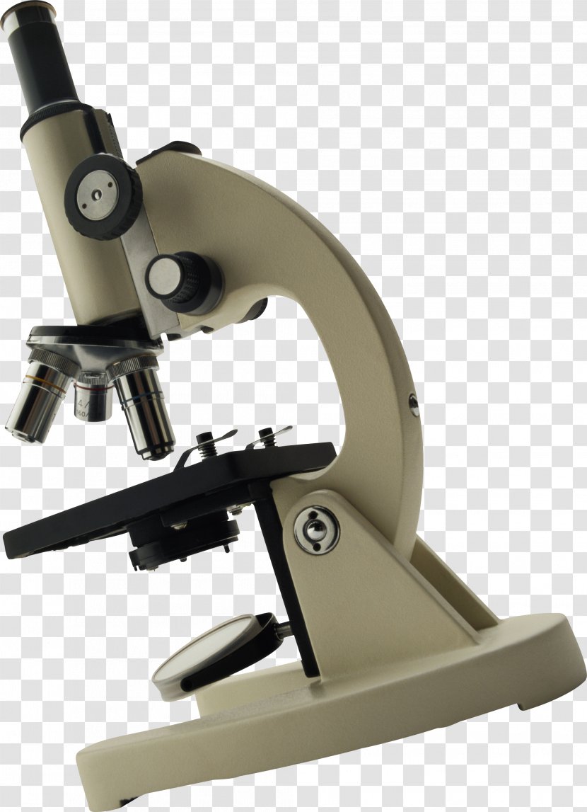 Optical Microscope Magnification - Organism Transparent PNG