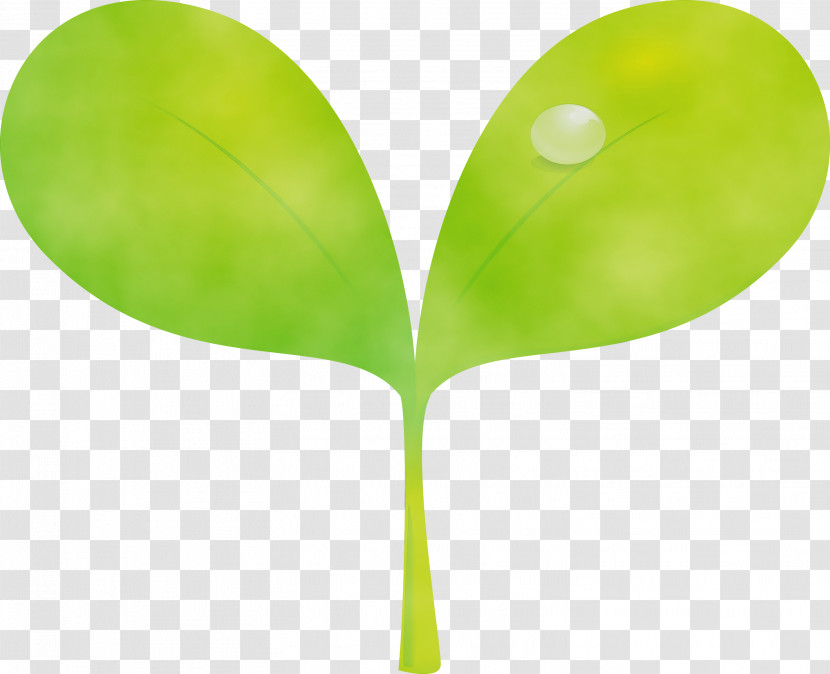 Green Leaf Plant Tree Plant Stem Transparent PNG