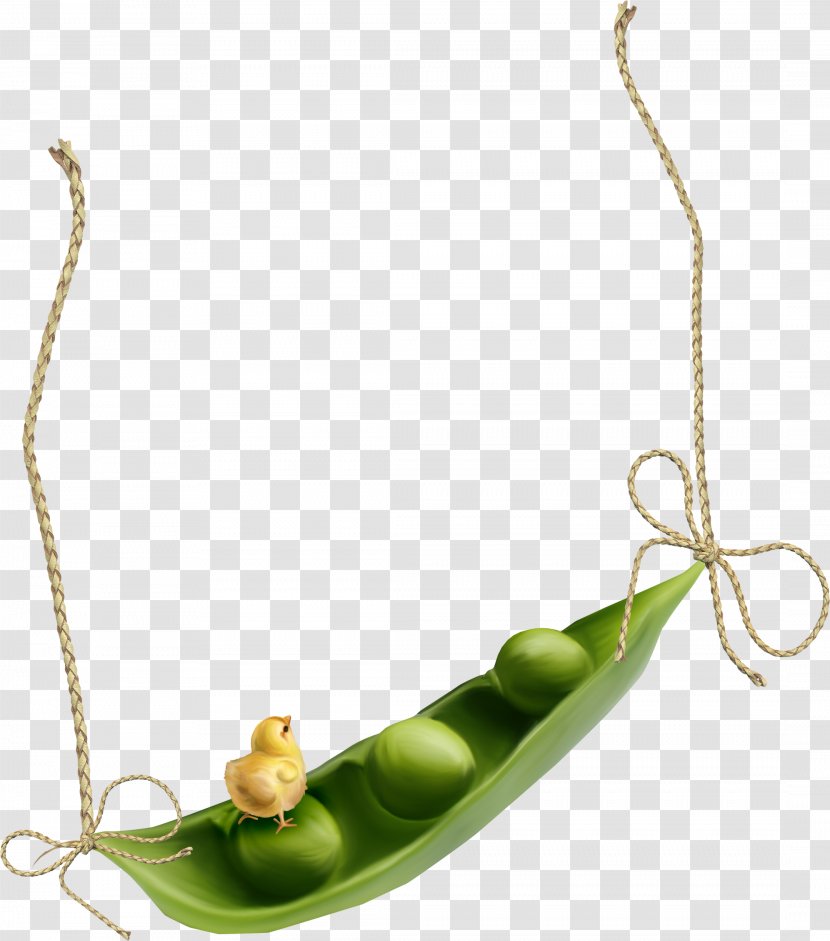Snow Pea Mung Bean Green Vegetable - Common - Picture Transparent PNG