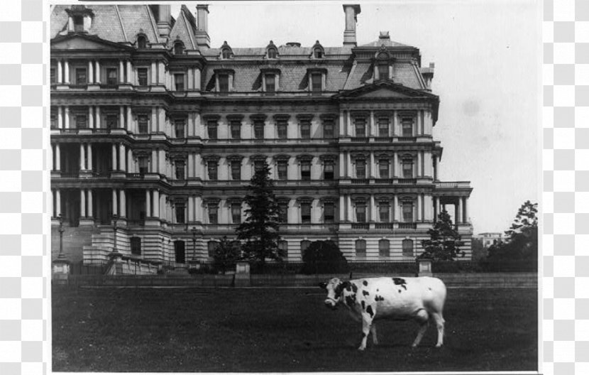 White House Cattle Executive Office Building Dog Pauline Wayne - Monochrome Photography Transparent PNG