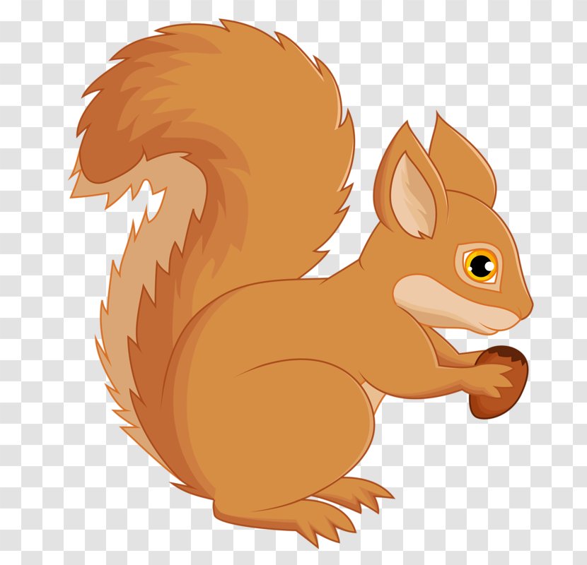 Tree Squirrels Computer Mouse - Snout - Squirrel Eating Chestnut Transparent PNG