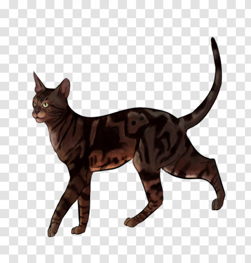 California Spangled Ykt.Ru Domestic Short-haired Cat Hyundai Taksi Mezhgorod - Yktru - Exotic Animals Transparent PNG