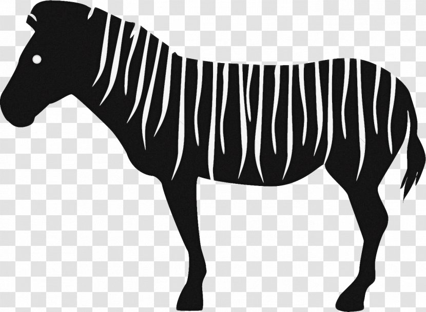 Zebra Cartoon - Yonni Meyer - Mare Blackandwhite Transparent PNG