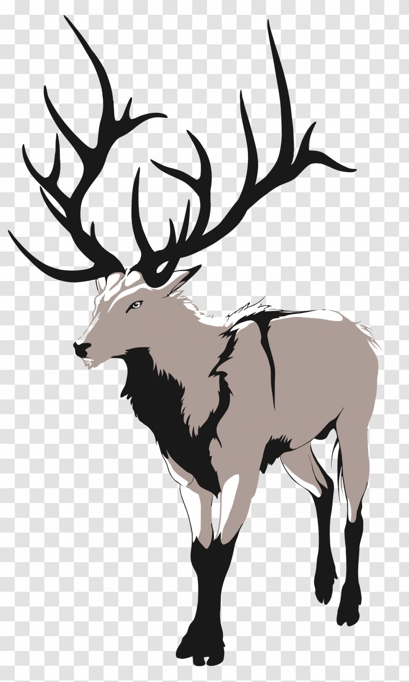 Red Deer Artemis Drawing - Vector Cartoon Transparent PNG